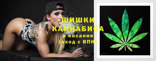 шишки Касимов