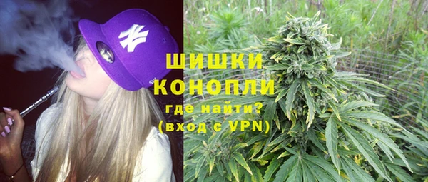 шишки Касимов
