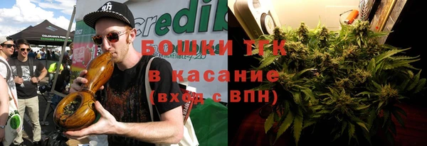 шишки Касимов