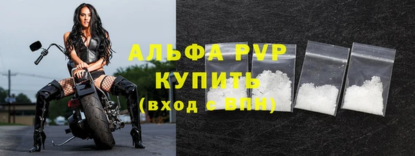 шишки Касимов
