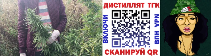 ТГК вейп  Купить где  Рудня 